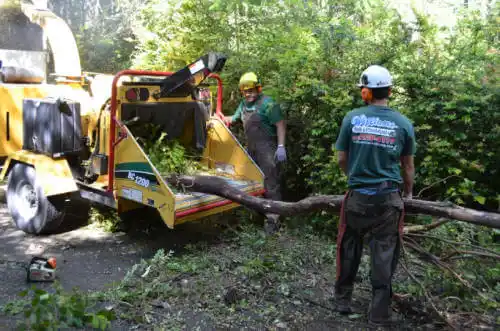 tree services West Samoset